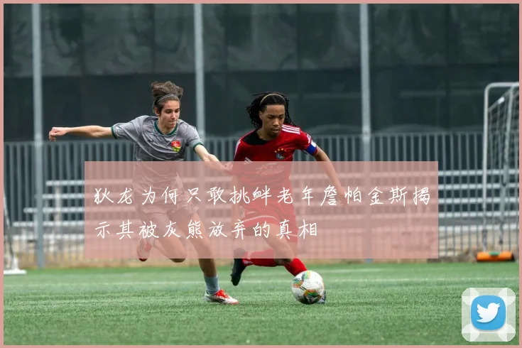 狄龙为何只敢挑衅老年詹帕金斯揭示其被灰熊放弃的真相
