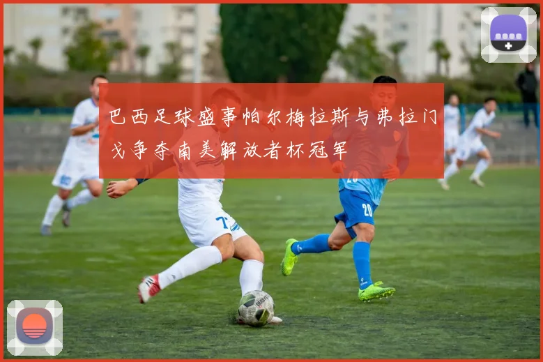 巴西足球盛事帕尔梅拉斯与弗拉门戈争夺南美解放者杯冠军