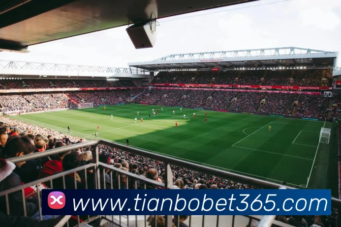 天博体育发展历程